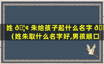 姓 🦢 朱给孩子起什么名字 🐟 （姓朱取什么名字好,男孩顺口）